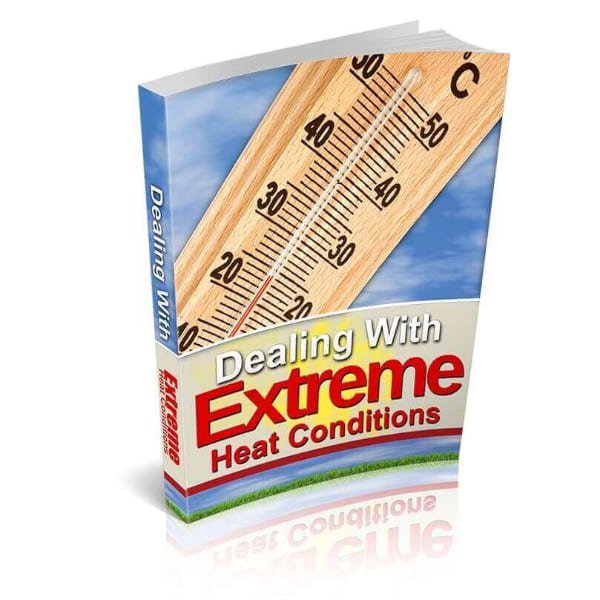 Dealing With Extreme Heat 1 Dealing With Extreme Heat